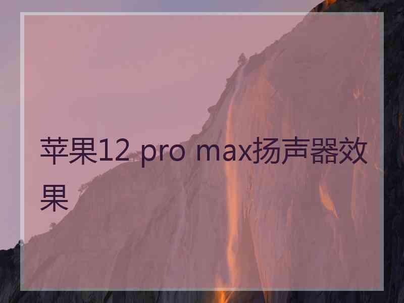 苹果12 pro max扬声器效果