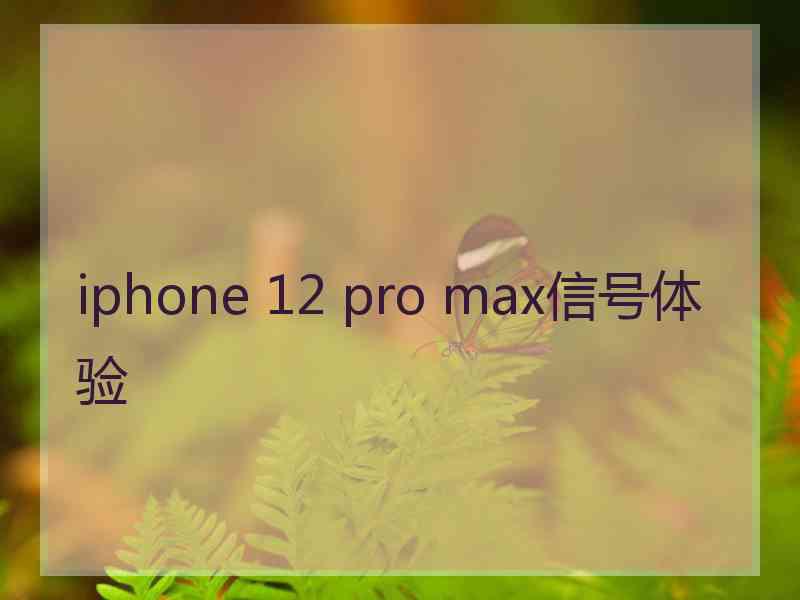 iphone 12 pro max信号体验