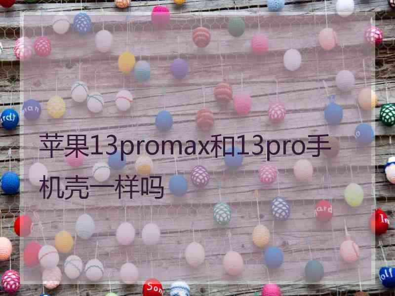 苹果13promax和13pro手机壳一样吗