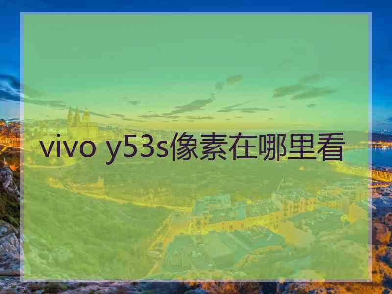 vivo y53s像素在哪里看