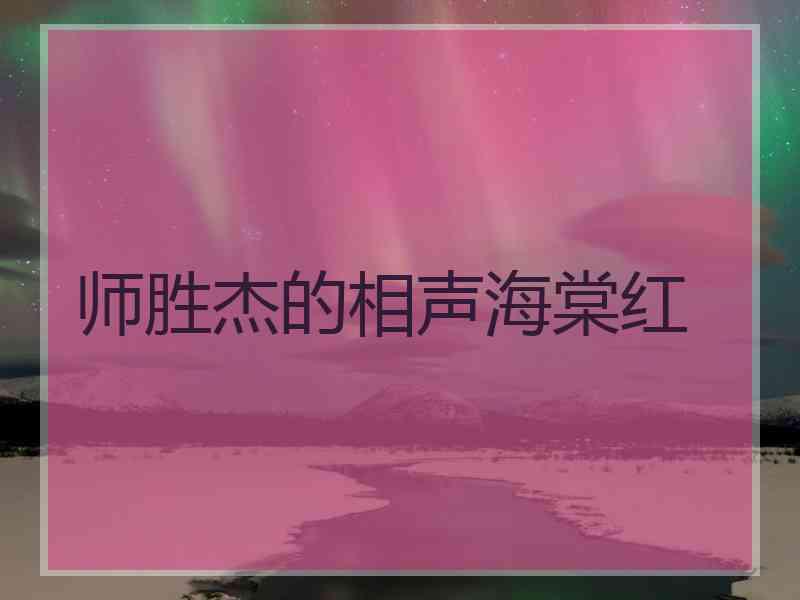 师胜杰的相声海棠红