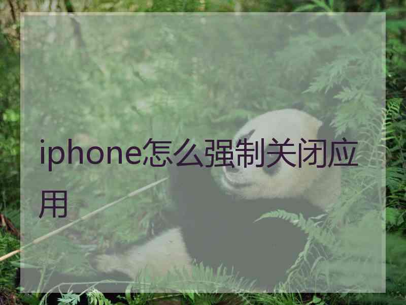 iphone怎么强制关闭应用