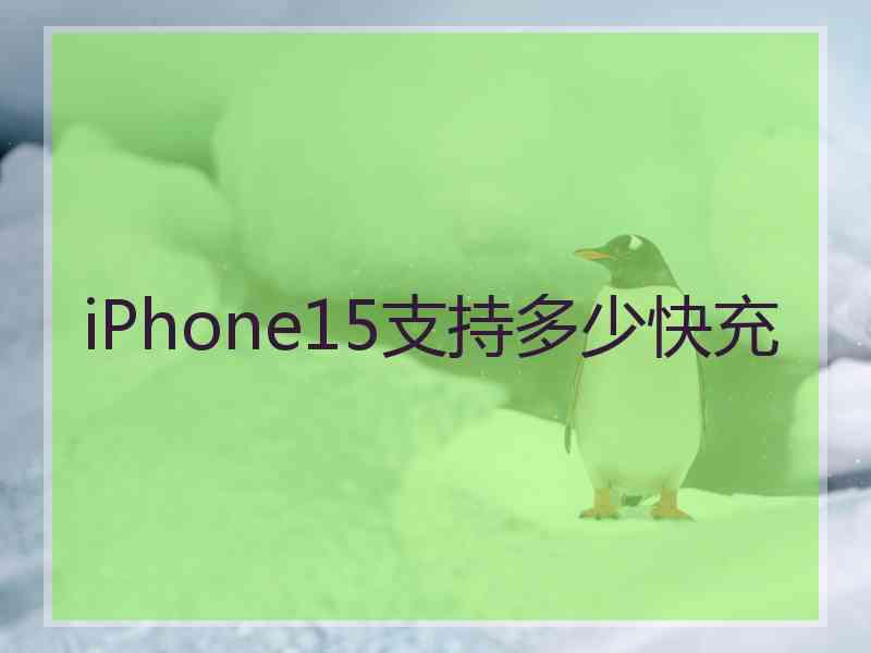 iPhone15支持多少快充