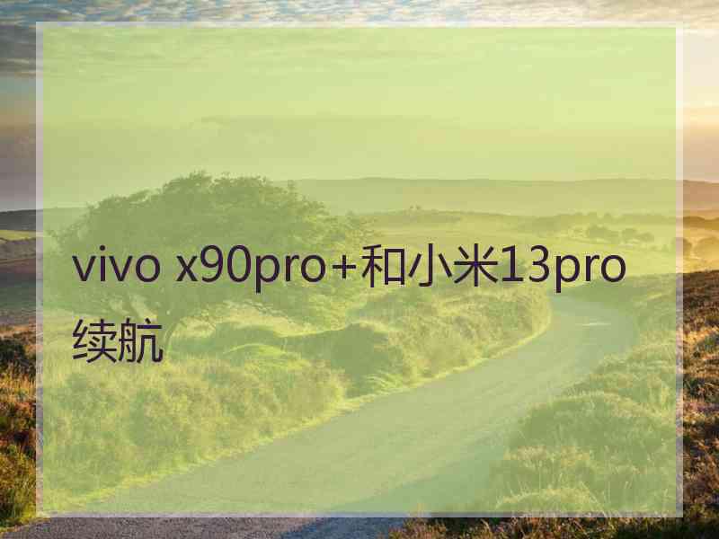 vivo x90pro+和小米13pro续航