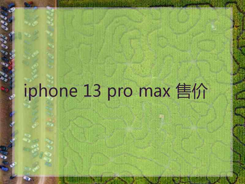 iphone 13 pro max 售价