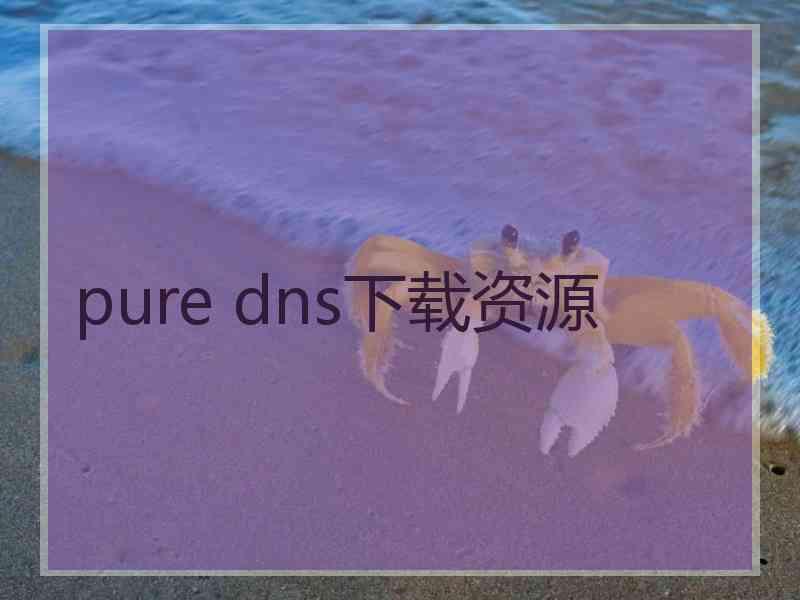 pure dns下载资源