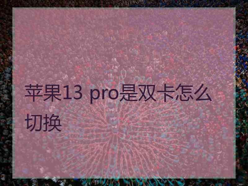 苹果13 pro是双卡怎么切换