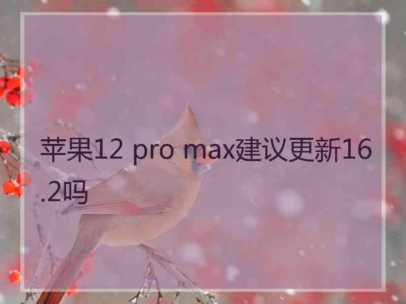 苹果12 pro max建议更新16.2吗