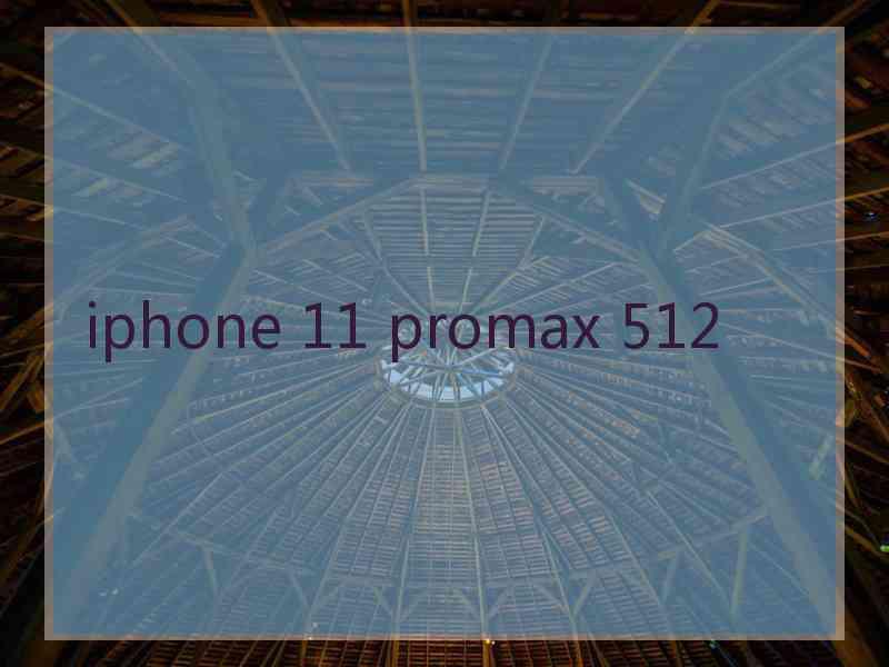 iphone 11 promax 512