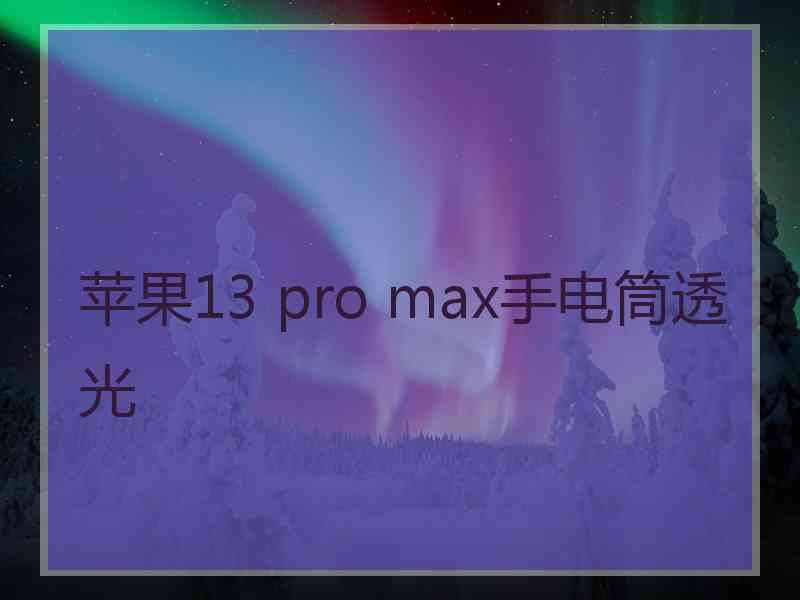 苹果13 pro max手电筒透光