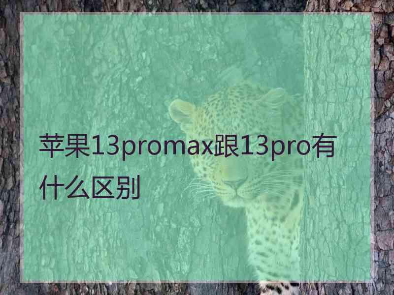 苹果13promax跟13pro有什么区别