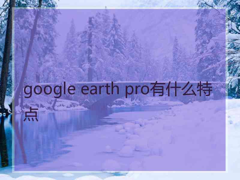 google earth pro有什么特点