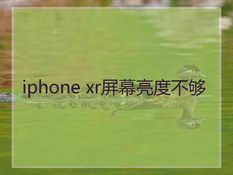 iphone xr屏幕亮度不够