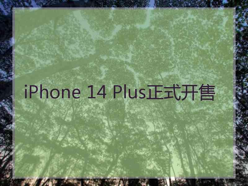 iPhone 14 Plus正式开售