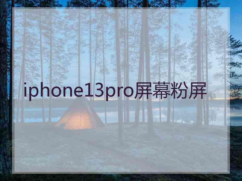 iphone13pro屏幕粉屏