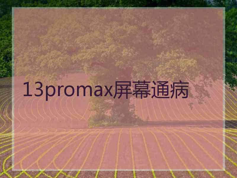 13promax屏幕通病