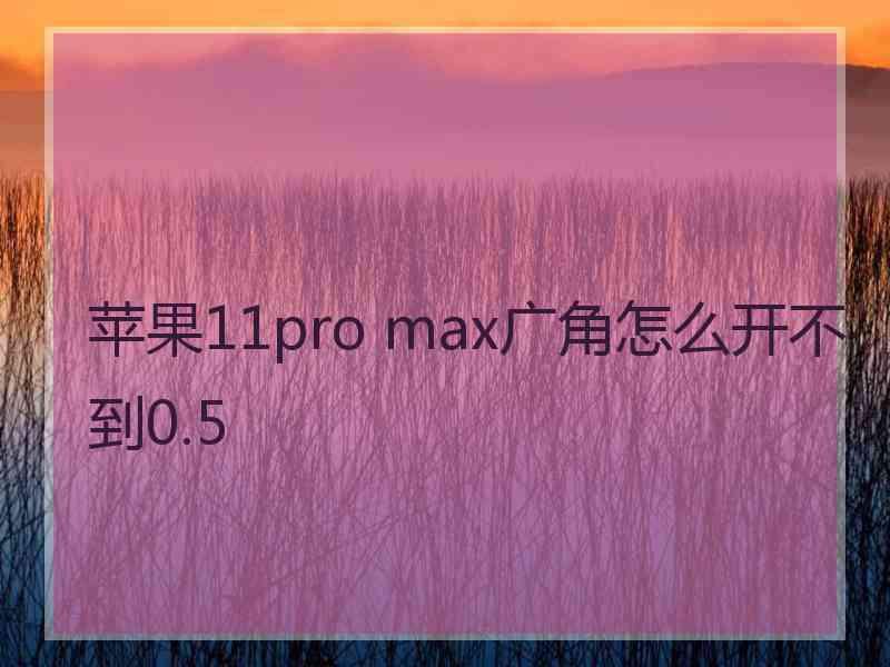 苹果11pro max广角怎么开不到0.5