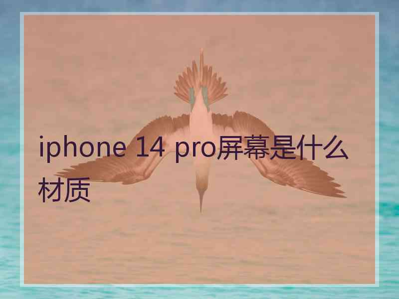 iphone 14 pro屏幕是什么材质