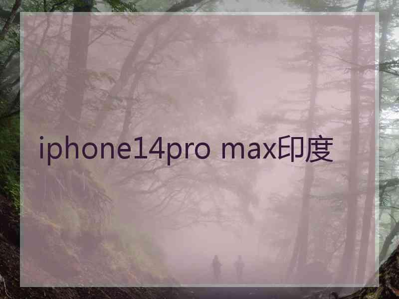 iphone14pro max印度