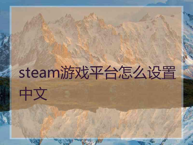 steam游戏平台怎么设置中文