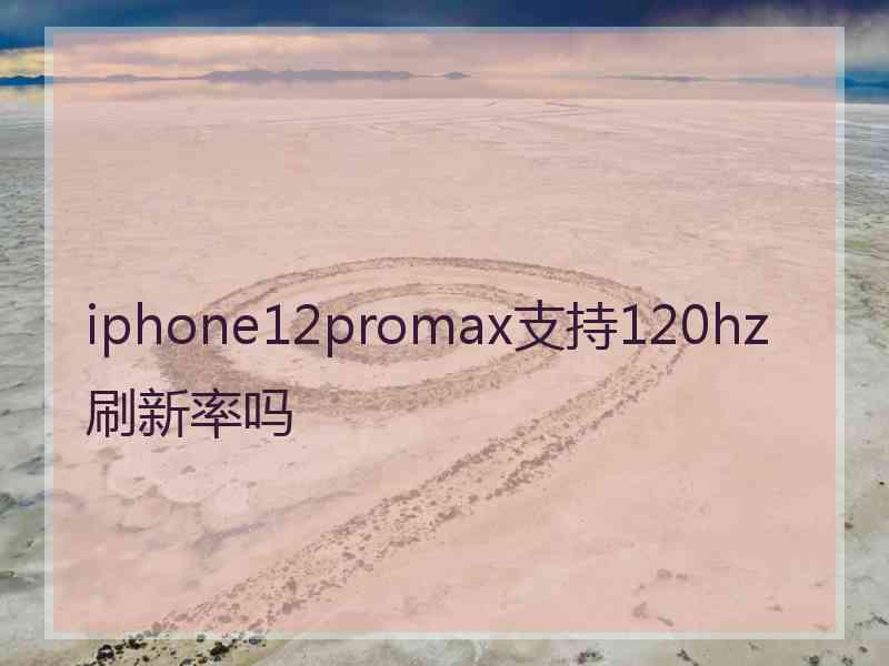 iphone12promax支持120hz刷新率吗