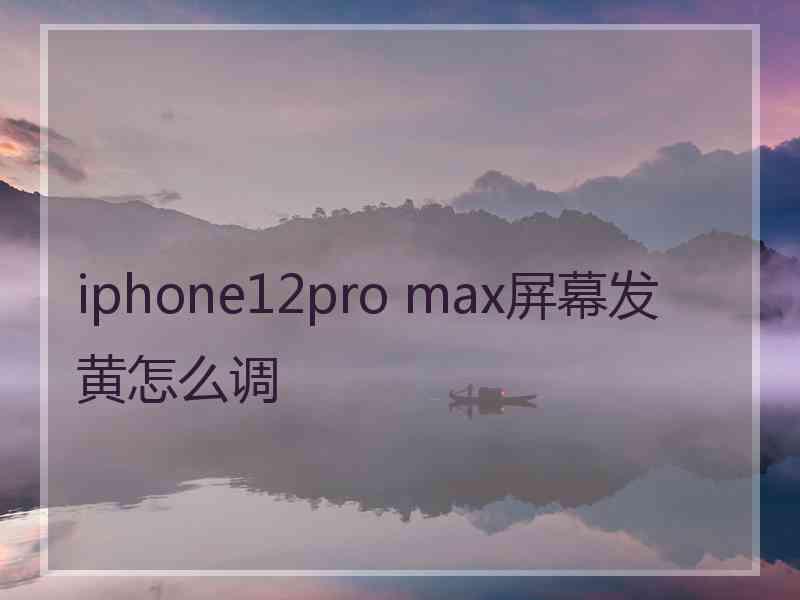 iphone12pro max屏幕发黄怎么调