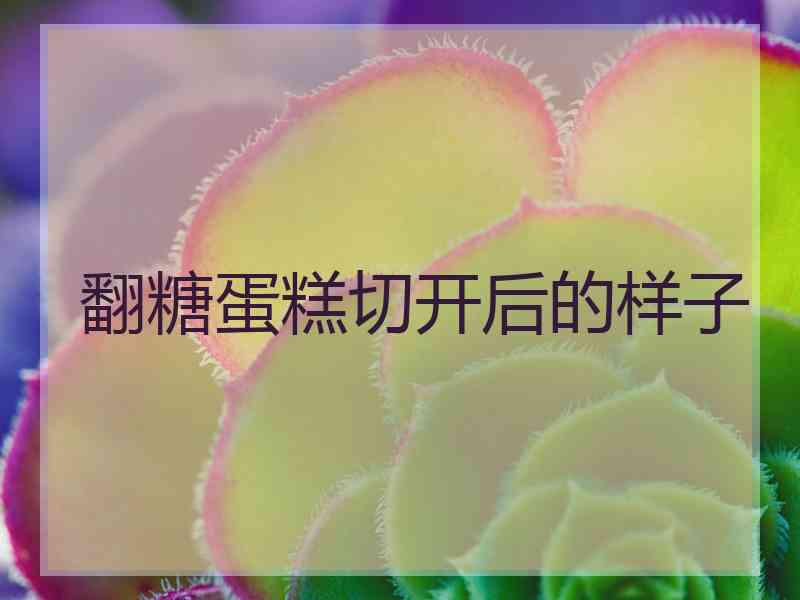 翻糖蛋糕切开后的样子