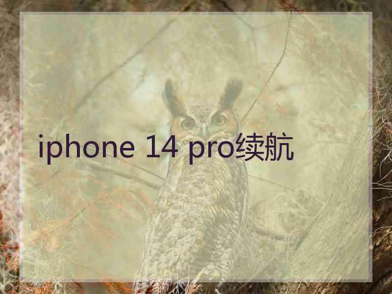 iphone 14 pro续航