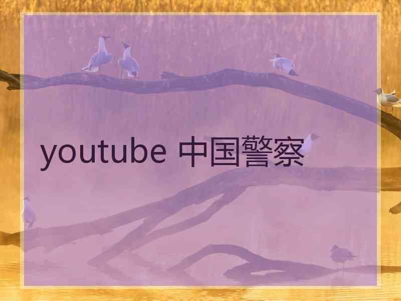 youtube 中国警察