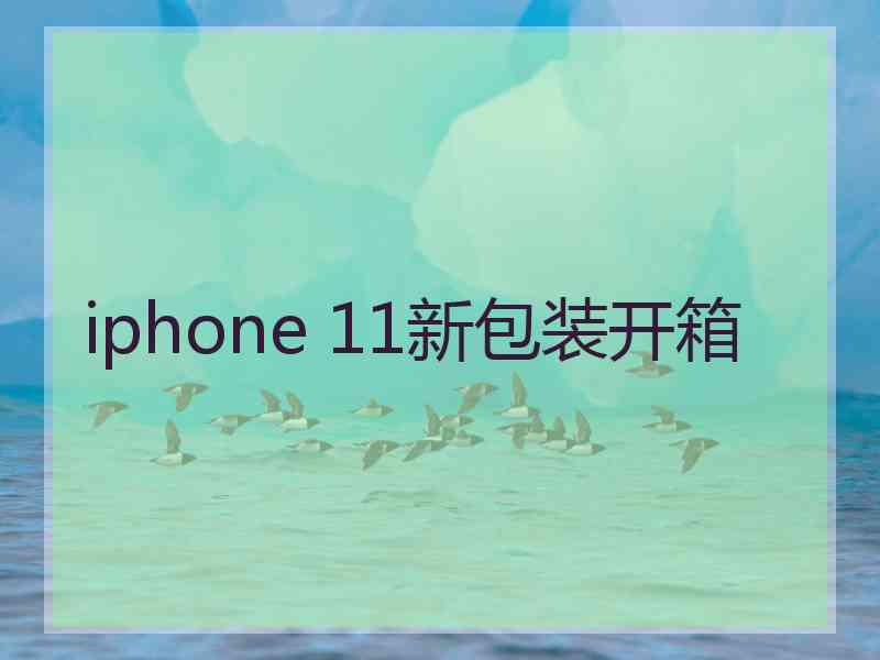 iphone 11新包装开箱