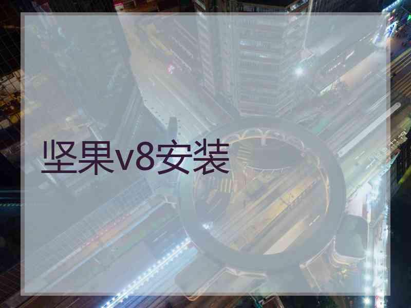 坚果v8安装