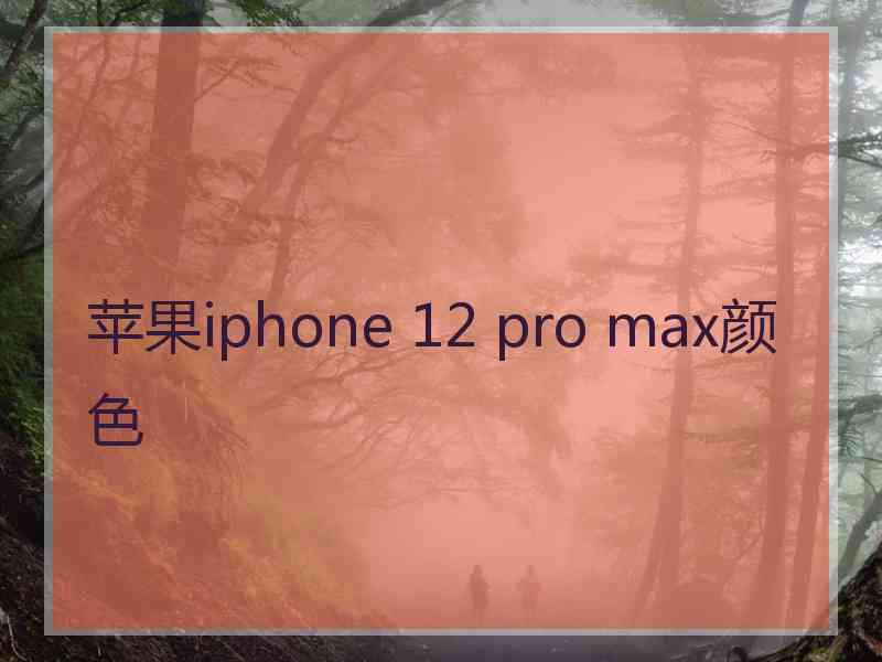 苹果iphone 12 pro max颜色