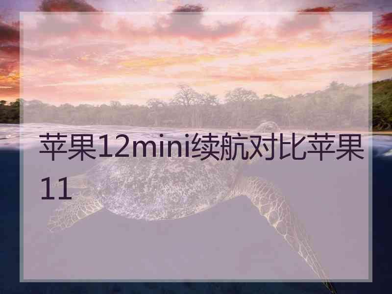 苹果12mini续航对比苹果11