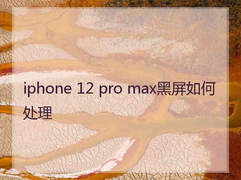 iphone 12 pro max黑屏如何处理