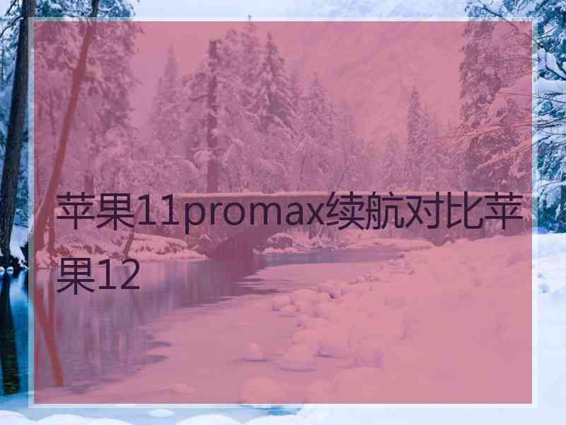 苹果11promax续航对比苹果12