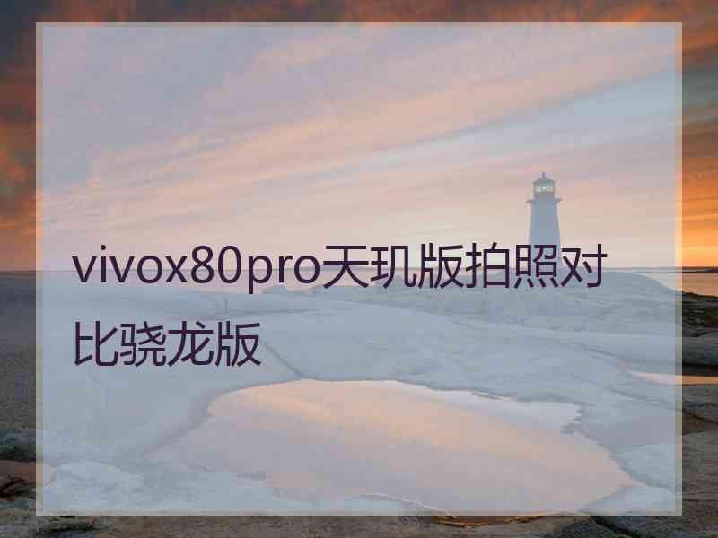 vivox80pro天玑版拍照对比骁龙版