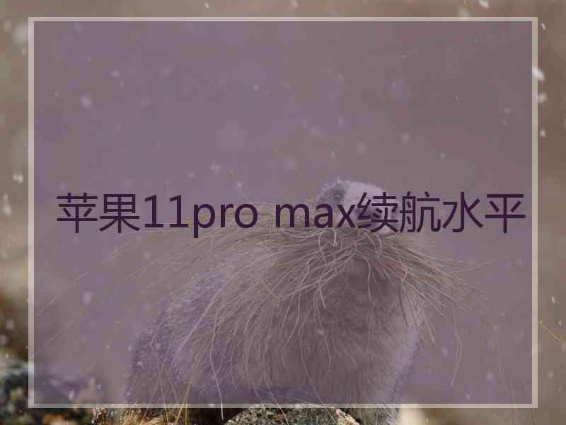 苹果11pro max续航水平