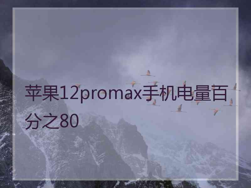 苹果12promax手机电量百分之80