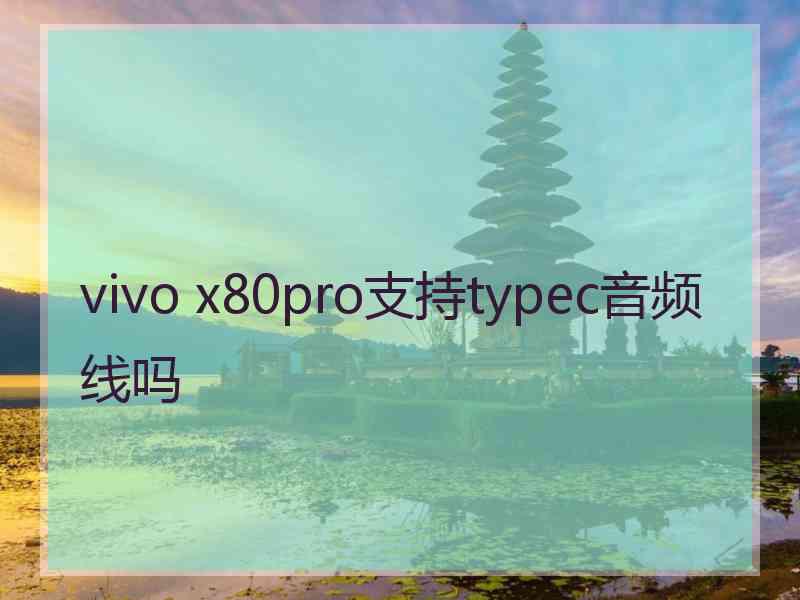 vivo x80pro支持typec音频线吗