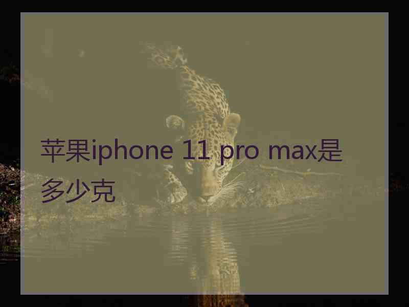 苹果iphone 11 pro max是多少克