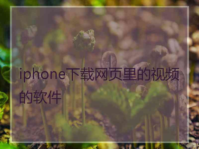 iphone下载网页里的视频的软件