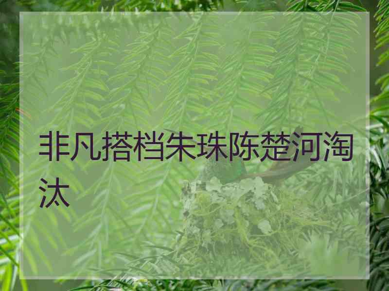 非凡搭档朱珠陈楚河淘汰