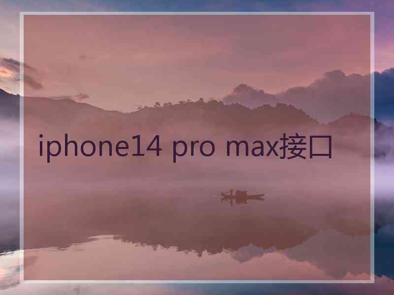 iphone14 pro max接口