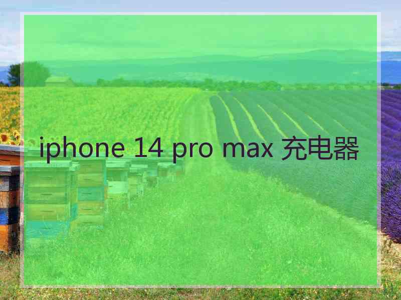 iphone 14 pro max 充电器