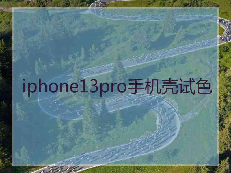 iphone13pro手机壳试色