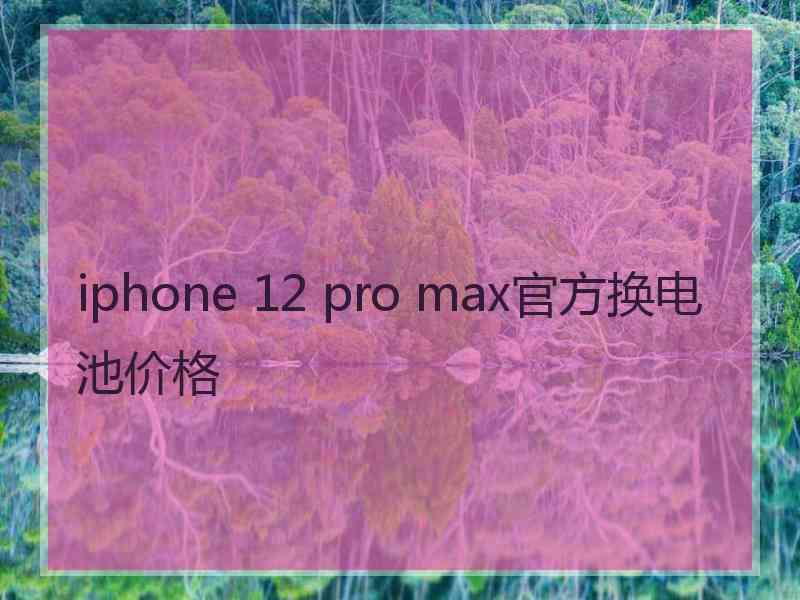 iphone 12 pro max官方换电池价格