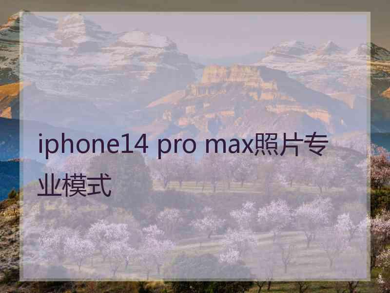 iphone14 pro max照片专业模式