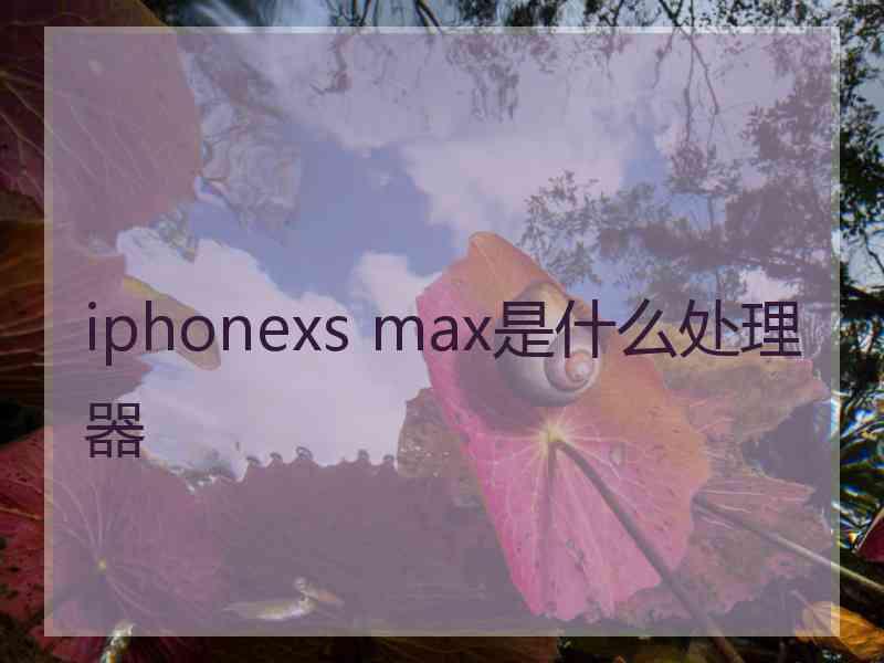 iphonexs max是什么处理器