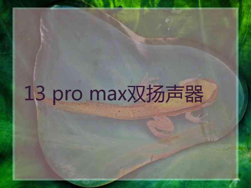 13 pro max双扬声器