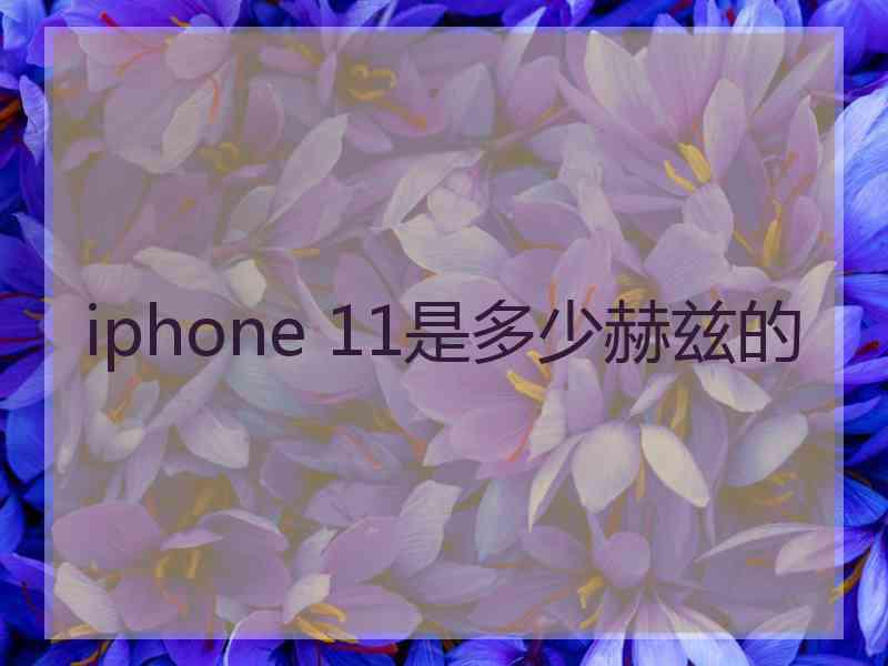 iphone 11是多少赫兹的